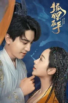 Fall in Love with a Fox